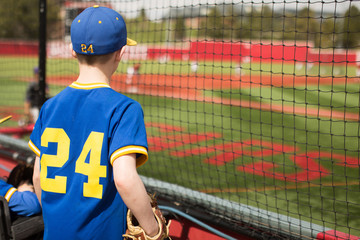 Young baseball player watching college baseball