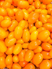 small tangerines, growing leaves on a branch, between leaves.