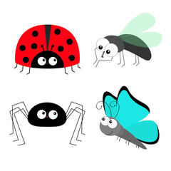Lady bug ladybird Fly Housefly Spider Butterfly insect icon set. Baby kids collection. Colorful wings. Cute cartoon kawaii funny character. Smiling face. Flat design. White background.