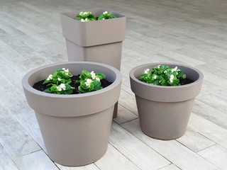 Gray flower pots of different shapes with white begonias.