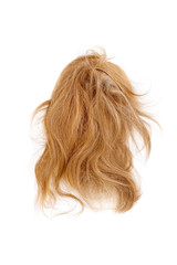 Naklejka premium Very disheveled blond hair isolated on white background. Bad hair day clipart. Back view