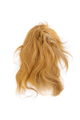 Very disheveled blond hair isolated on white background. Bad hair day clipart. Back view