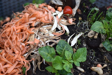 Komposthaufen mit verschiedenen Bioabfällen im Garten