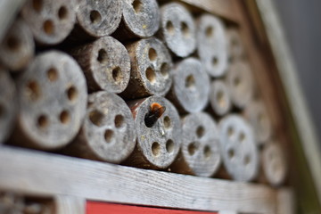 Insektenhotel