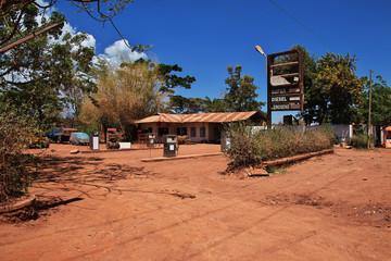 Fototapeta premium Safari, Tanzania, Kenya
