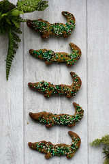Biscotti di pasta frolla coccodrillo