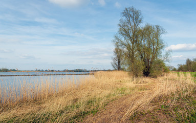 On the bank of a river