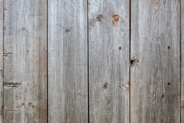 Naklejka premium Grayish Old Wood Texture 