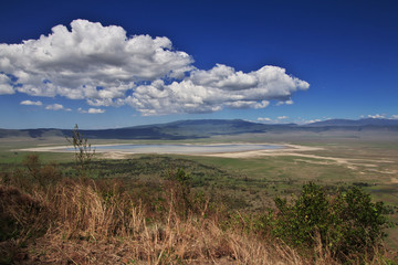 Fototapeta na wymiar Ngorongoro, Safari, Tanzania