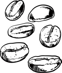 Coffee beans  seeds flat icon for food apps,vector