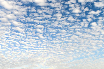 Fototapeta premium The blue sky and white fluffy clouds
