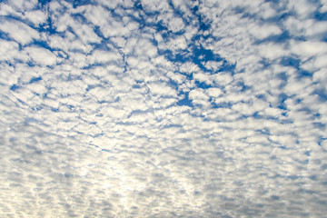 Obraz premium The blue sky and white fluffy clouds