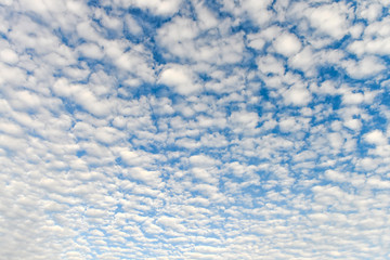 Obraz premium The blue sky and white fluffy clouds