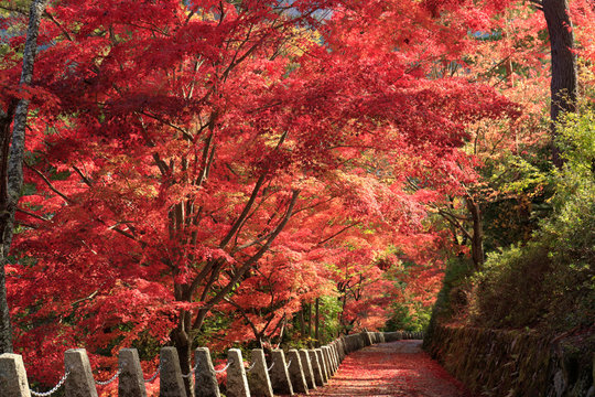 高城山展望台photos Royalty Free Images Graphics Vectors Videos Adobe Stock