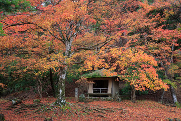 紅葉-庭園-吉野山-奥千本-西行庵