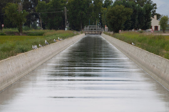 Tierras Bilder Durchsuchen 1,610 Archivfotos, und