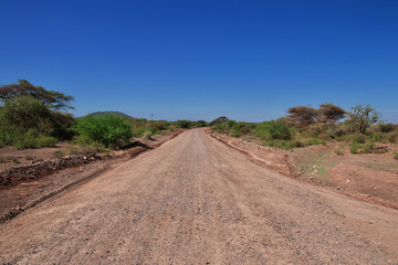 Fototapeta na wymiar Tanzania
