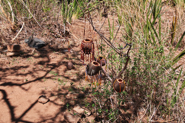 Bushmen village, Tanzania