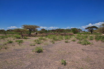 Bushmen village, Tanzania