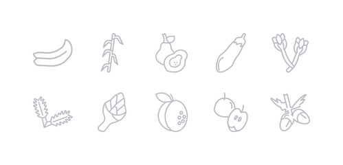 simple gray 10 vector icons set such as acorn, apple, apricot, artichoke, arugula, asparagus, aubergine. editable vector icon pack