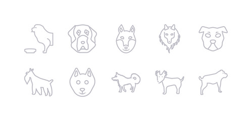 simple gray 10 vector icons set such as russian toy dog, samoyed dog, schipperke dog, schnauzer shar pei shetland sheepdog shiba inu editable vector icon pack