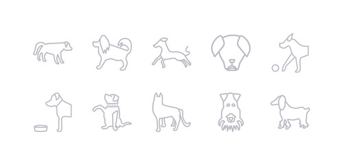 simple gray 10 vector icons set such as fox terrier dog, german shepards dog, goldador dog, golden retriever great dane great pyrenees greyhound editable vector icon pack