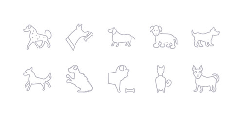 simple gray 10 vector icons set such as chinook dog, chow chow dog, cockapoo dog, cocker spaniel corgi coton de tulear dachshund editable vector icon pack
