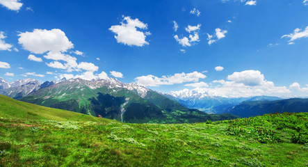 Naklejka premium Alpine green mountain valley landscape