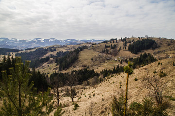Fototapeta na wymiar Spring landscape in the beautifull Carpathian village