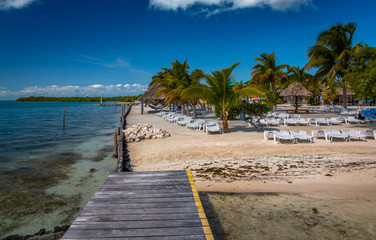Vegetation and Palapas in the Beautiful caribbean island of Belize