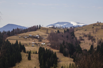 Obraz premium Spring landscape in the beautifull Carpathian village