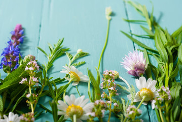 herbal flowers on blue wooden table background