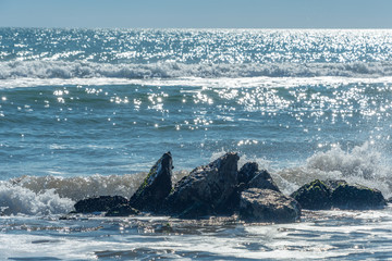 Olas