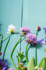 herbal flowers on blue wooden table background