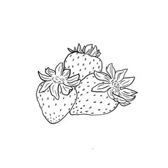 Three strawberries close-up on a white background. Black and white outline illustration. Isolated object.