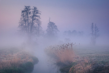 Obraz na płótnie Canvas Valley of the Jeziorka River on a foggy morning near Piaseczno, Masovia, Poland