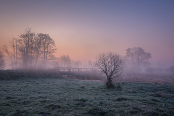 Valley of the Jeziorka River on a foggy morning near Piaseczno, Masovia, Poland
