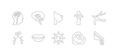 simple gray 10 vector icons set such as ball of the knee, basophil, big cellule, big lips, blood supply system, blood vessel, bones joint. editable vector icon pack