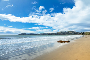 boulders at the beach of Moeraki New Zealand