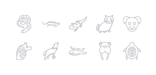 simple gray 10 vector icons set such as turtle, walrus, whale, wolf, zebra, puppy, kitten. editable vector icon pack