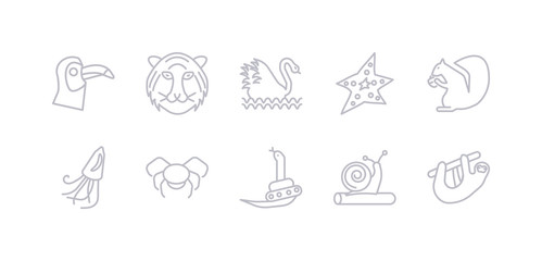 simple gray 10 vector icons set such as sloth, snail, snake, spider, squid, squirrel, starfish. editable vector icon pack