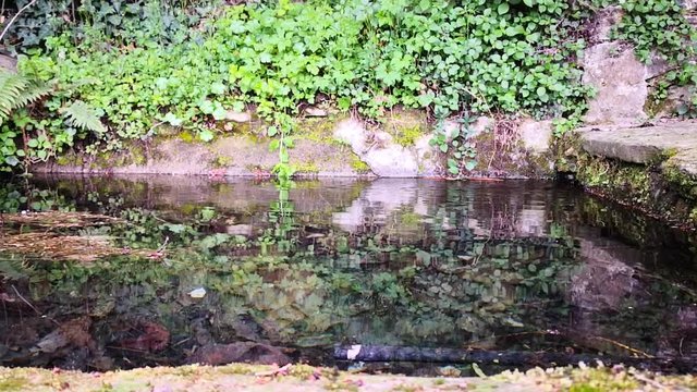 Fonte di montagna 4