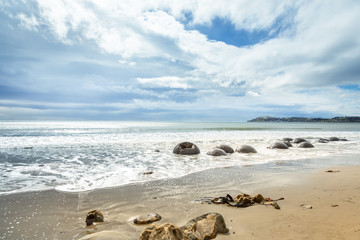 Fototapeta na wymiar boulders at the beach of Moeraki New Zealand