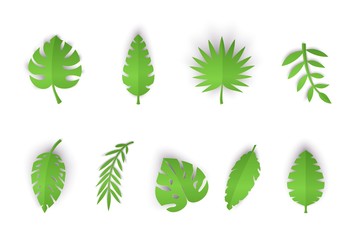 Set of summer tropical leaves in paper cut style. Craft jungle plants collection on white background. Vector card illustration in paper cutting art style