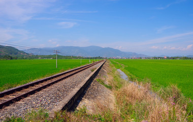 Railway between the rice fields. Mountains are visible on the horizon.