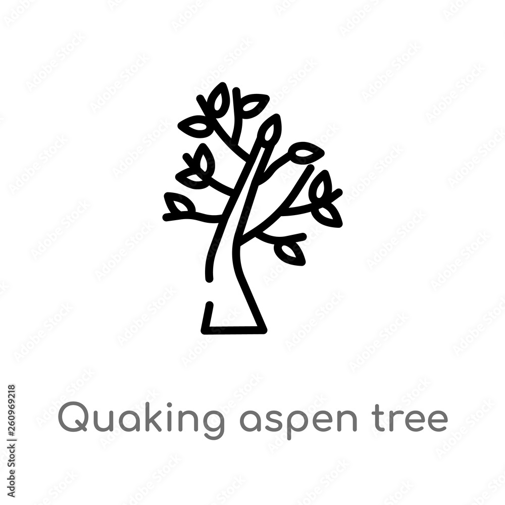 Poster outline quaking aspen tree vector icon. isolated black simple line element illustration from nature 