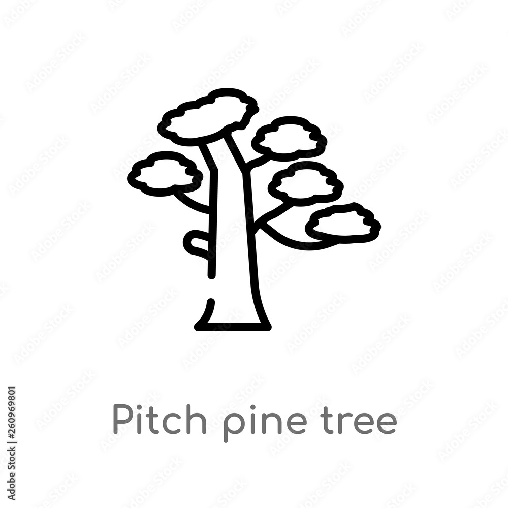 Poster outline pitch pine tree vector icon. isolated black simple line element illustration from nature con
