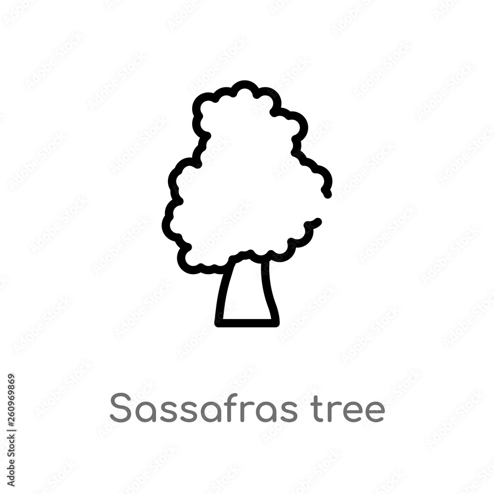 Poster outline sassafras tree vector icon. isolated black simple line element illustration from nature conc