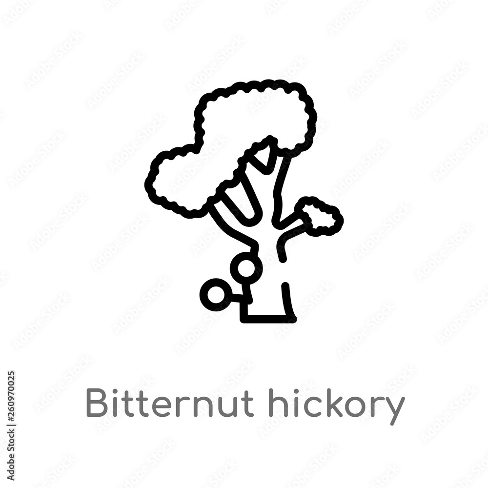 Poster outline bitternut hickory tree vector icon. isolated black simple line element illustration from nat