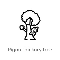 outline pignut hickory tree vector icon. isolated black simple line element illustration from nature concept. editable vector stroke pignut hickory tree icon on white background